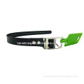 Dog Collar with Small Accessories